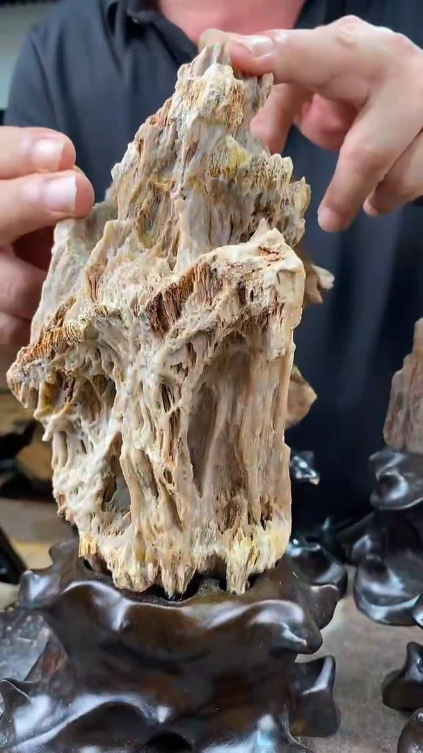 玉亨兴摆件树化玉摆件