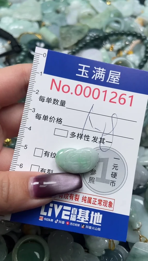 颈饰未镶嵌翡翠1261