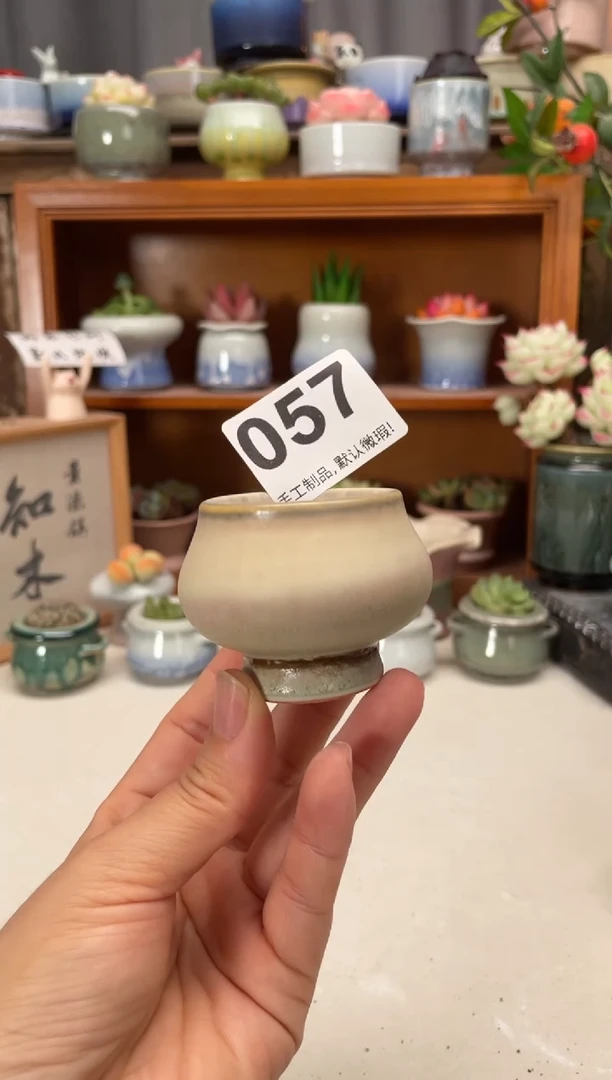 瓷片057知木小芳花盆