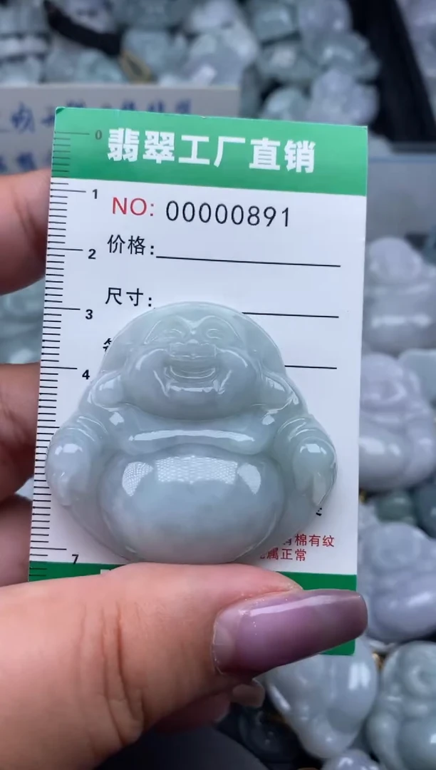 翡翠未镶嵌颈饰缅甸天然A货翡翠0891