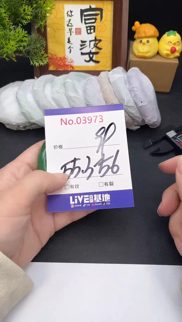 未镶嵌手镯翡翠3973