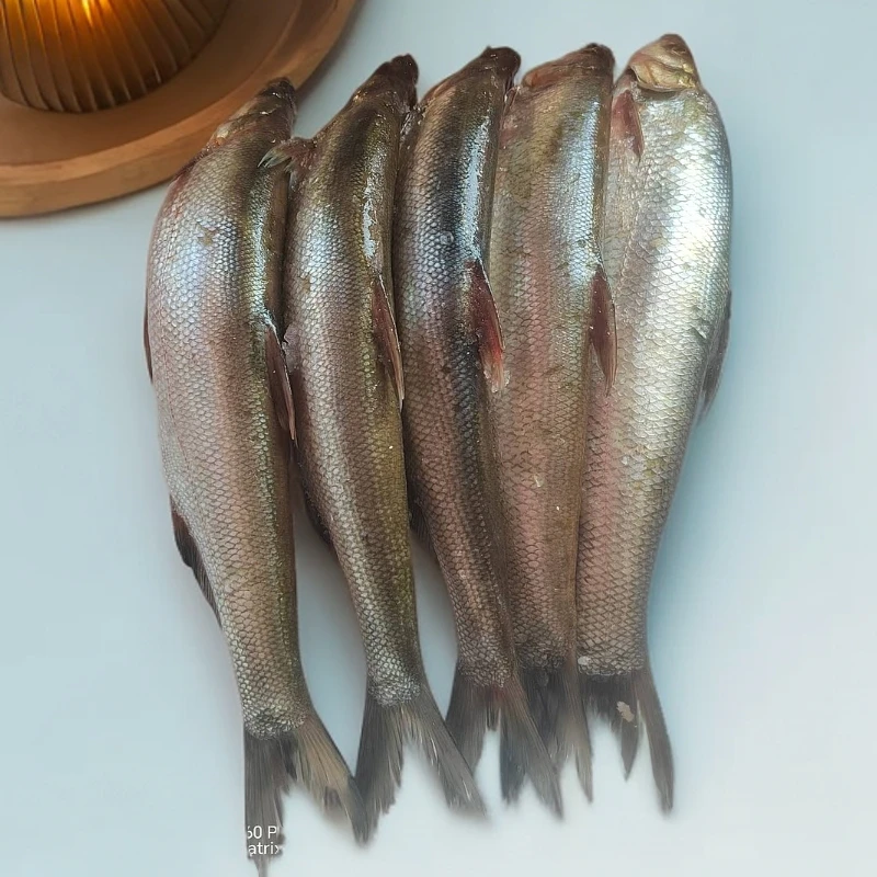 3条翘嘴鱼6斤以上冷冻发货