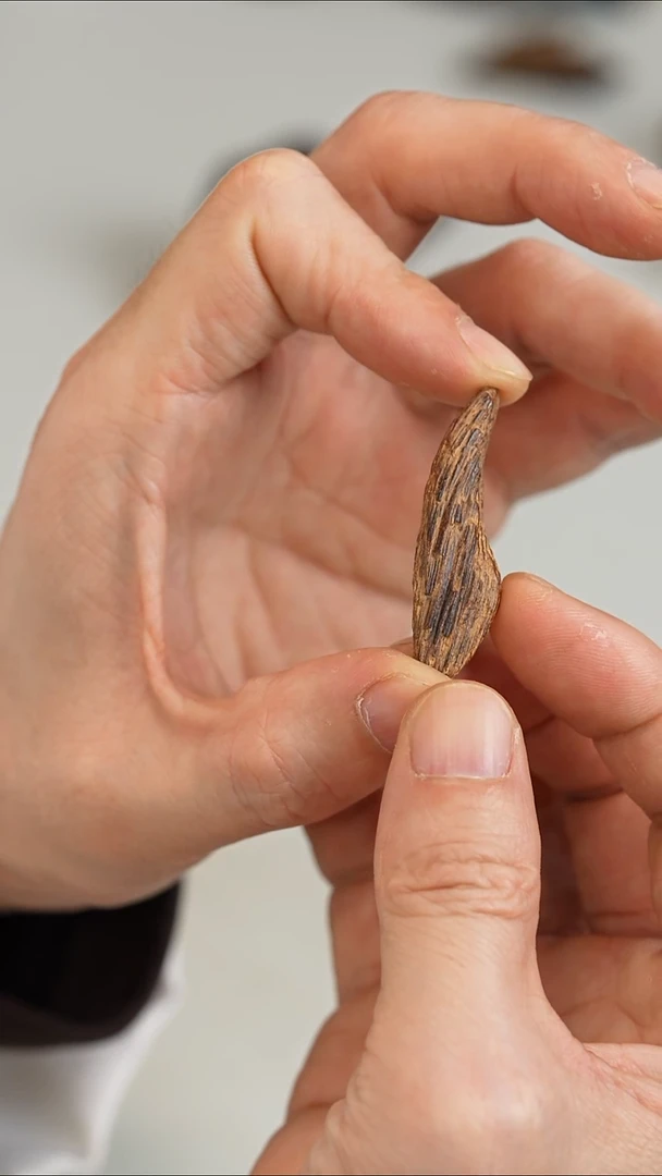 沉香沉香碎屑越南富森红土沉水1.6g