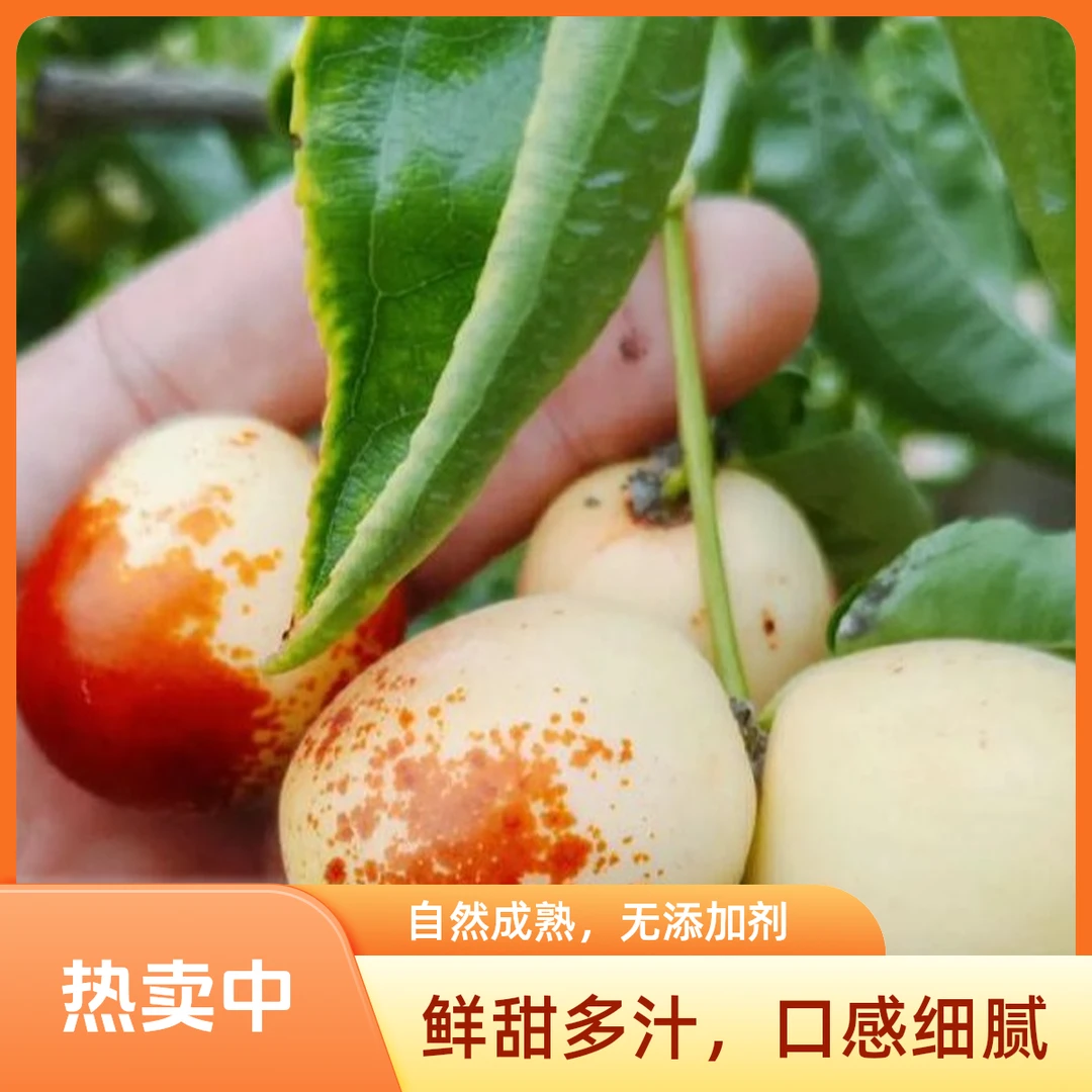 9.23【多仓发货/顺丰次日达】陕西大荔冬枣净重4斤装脆甜多汁陕西省