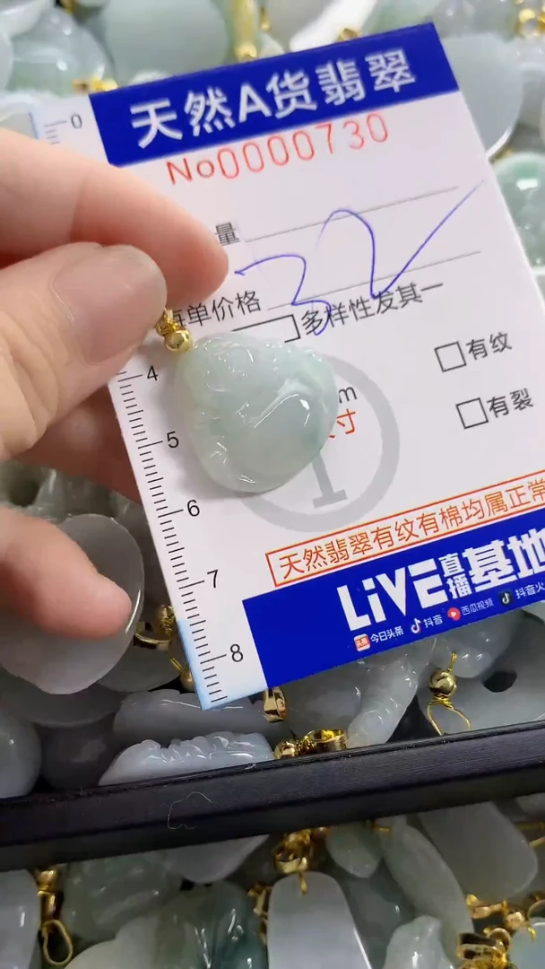颈饰未镶嵌翡翠天然A货翡翠730