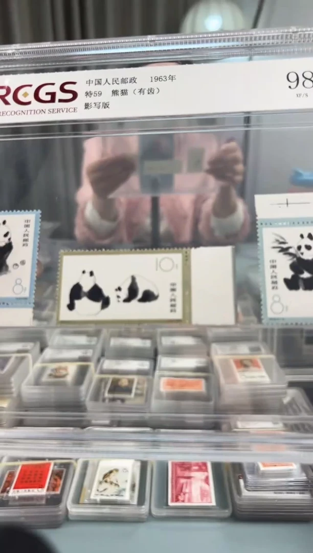 特59熊猫大宽边一套