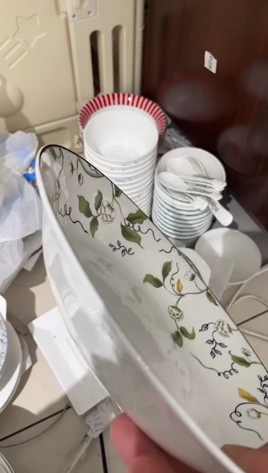 瓷10英寸汤盘1个香榭丽