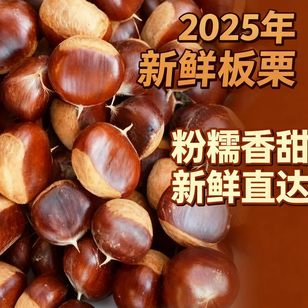 高山新鲜高山老树板栗精选大果香甜精品
