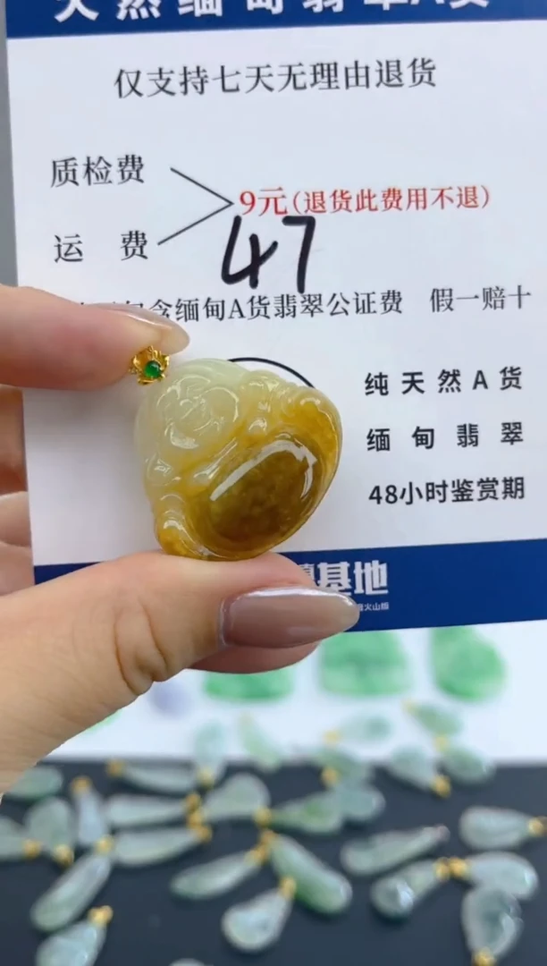 颈饰18K金镶嵌翡翠天然A货翡翠