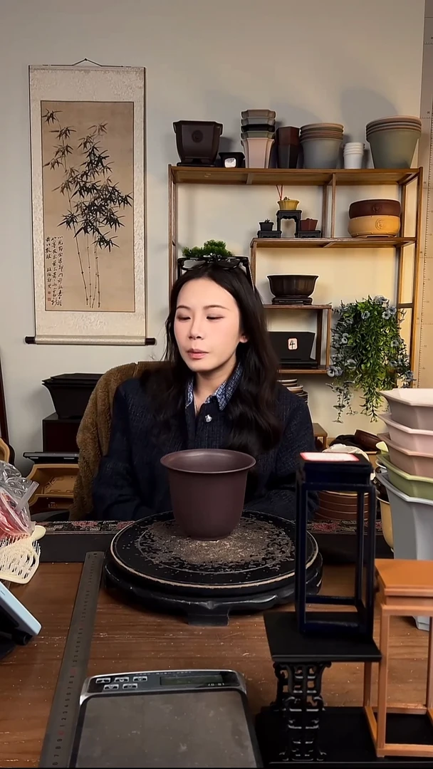 10只15口径金钟紫檀色