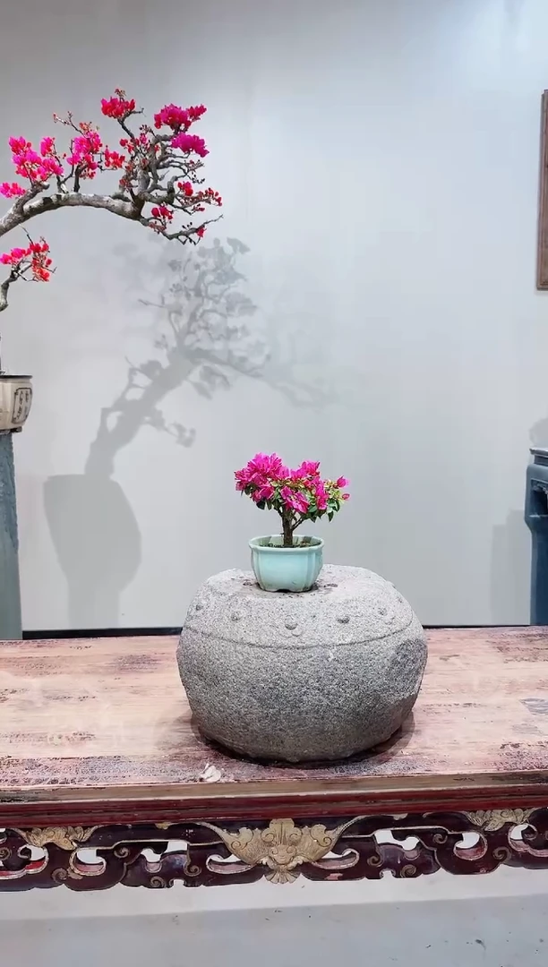 【闪购商品】盆景小桃红