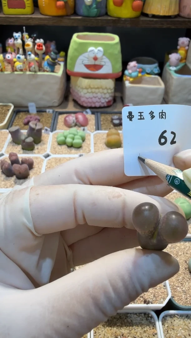 不**灰25.9.23-62不是咖啡