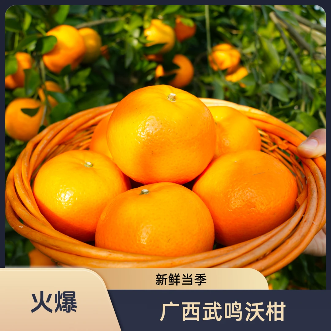 广西武鸣沃柑花皮果鲜甜酸甜水果农家新鲜当季时令特产现摘现发