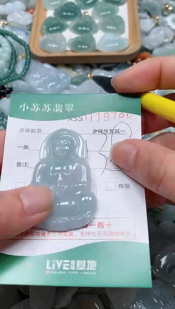 【闪购商品】翡翠颈饰未镶嵌闪购商品0119788