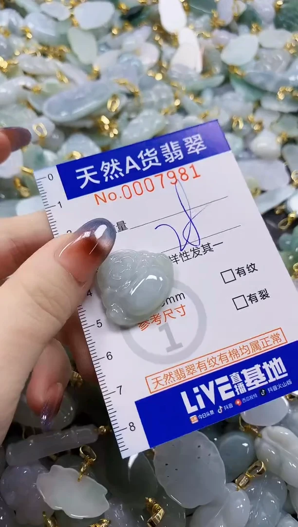 颈饰未镶嵌翡翠天然A货翡翠