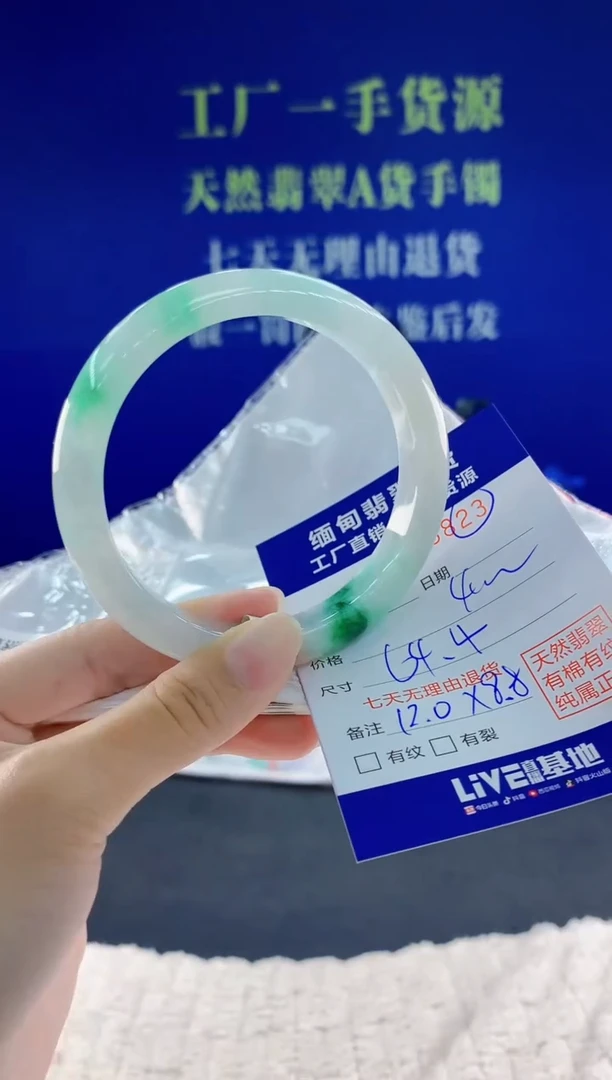 未镶嵌手镯翡翠23