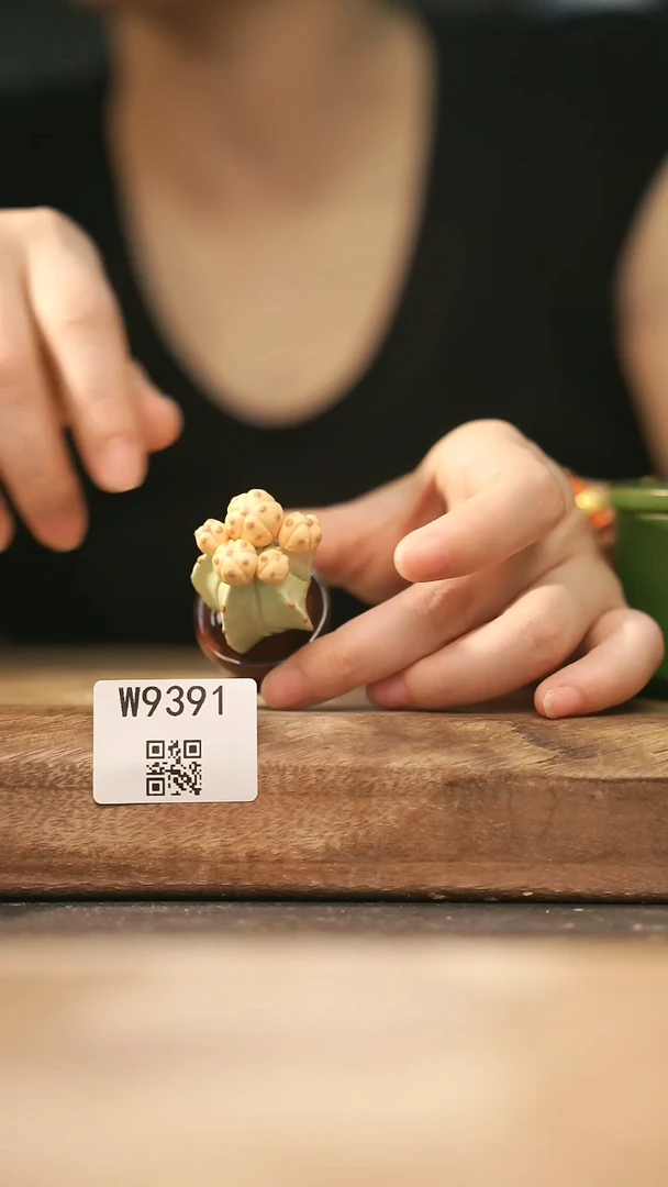 【经典福利】/ 杯子@@W9391