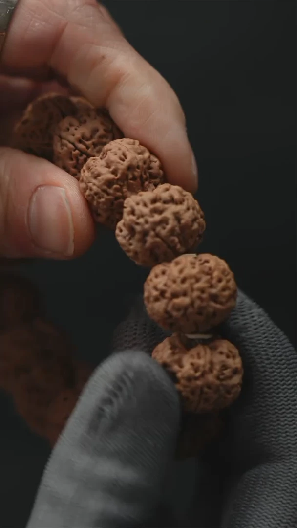 金刚菩提手串龙江推荐原生态超头狠货24尺