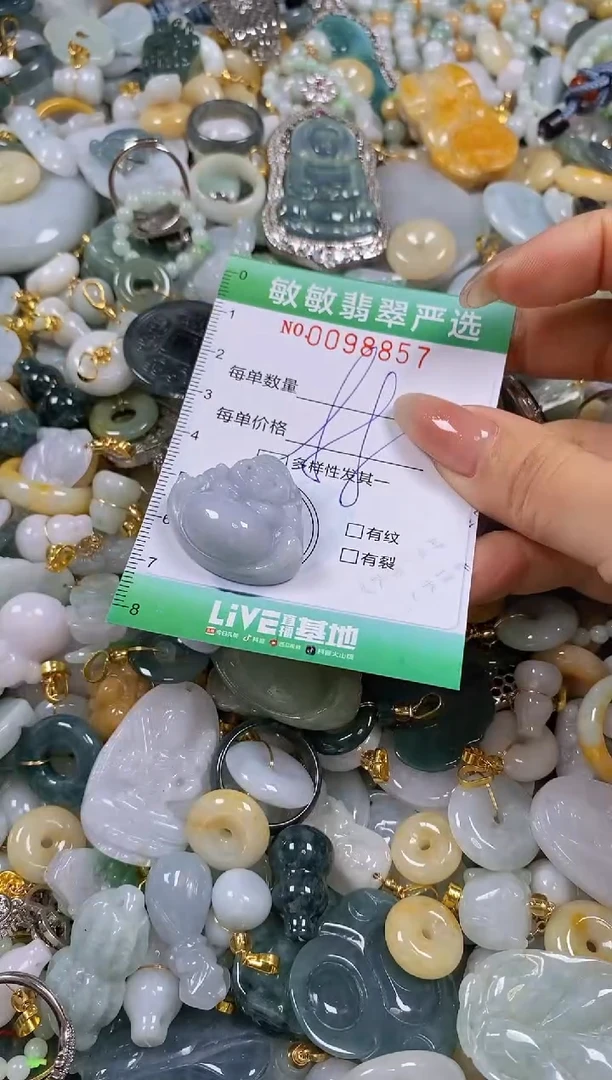 【闪购商品】翡翠颈饰未镶嵌闪购0098857