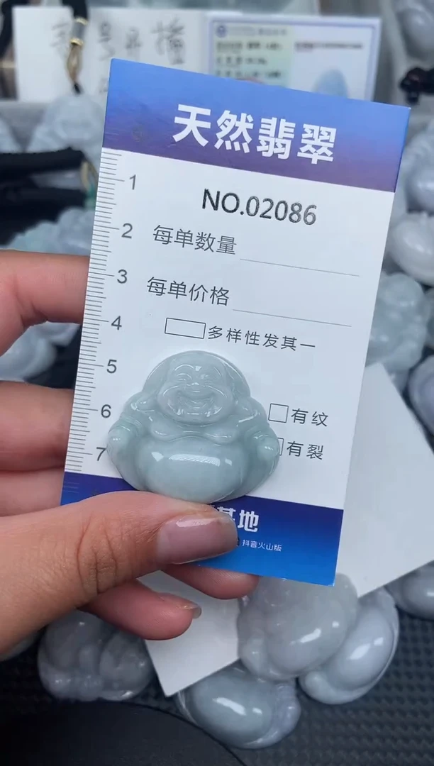 颈饰未镶嵌翡翠纯天然A货翡翠2086