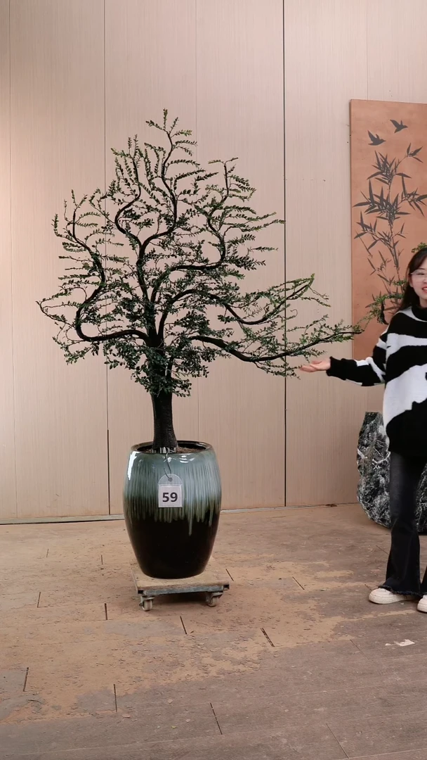 【闪购商品】59号广东小叶紫檀黑骨茶