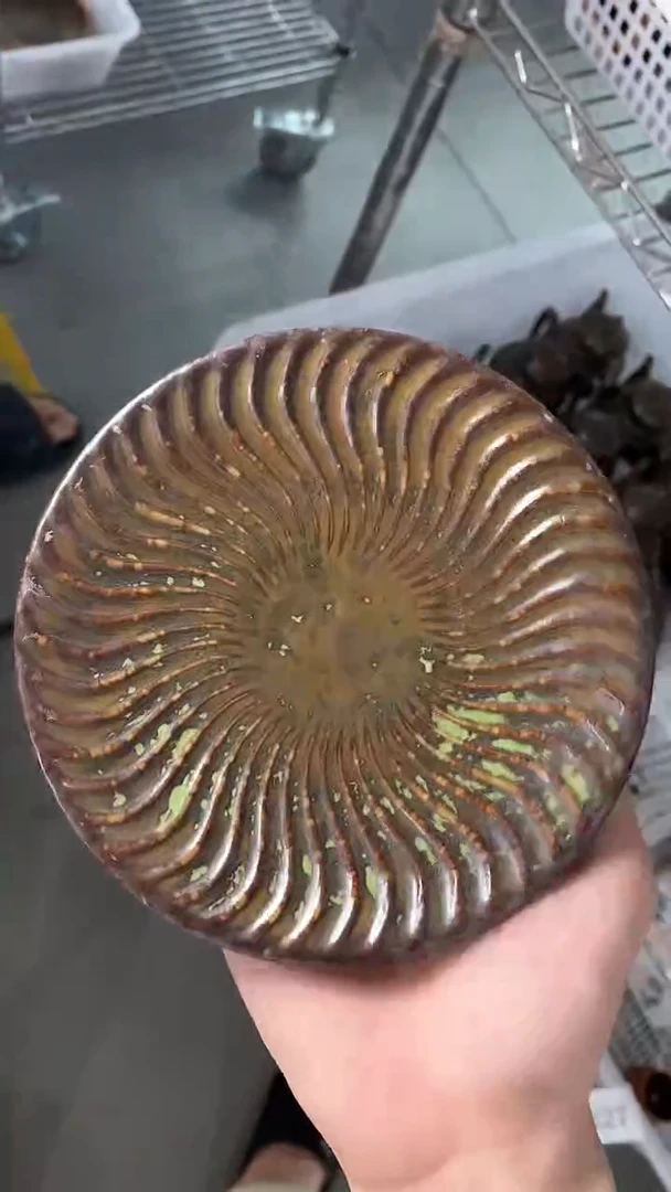 瓷片M137陶瓷茶具茶器