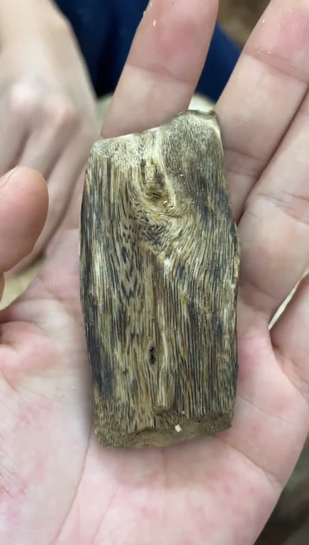 沉香沉香碎屑棋楠沉香 原料文创1