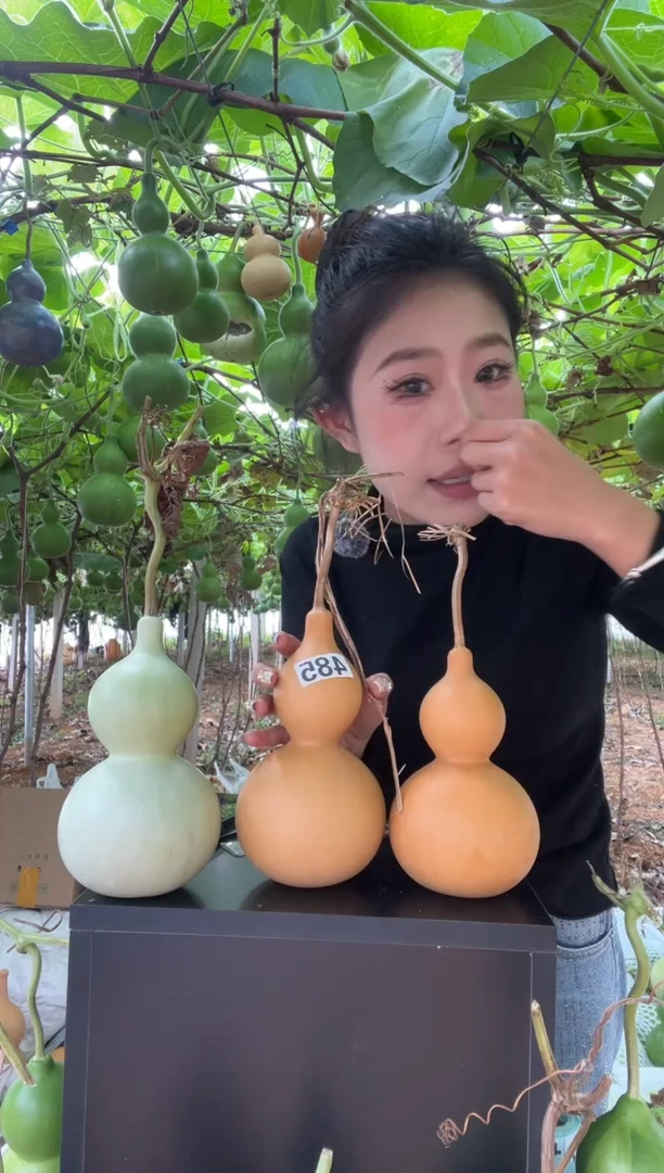 2***4485天然葫芦摆件 一物一拍龙头不保售后两个有瑕疵