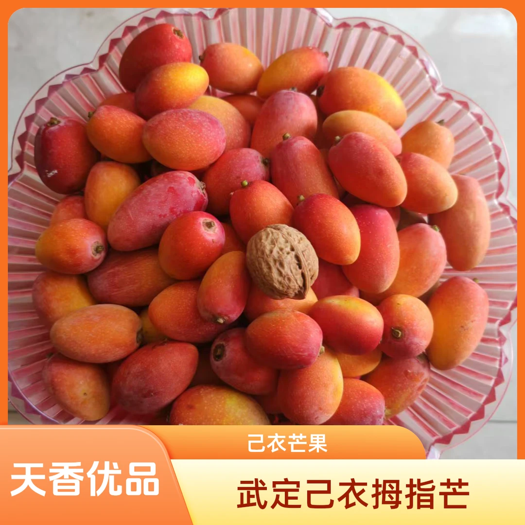 当季水果 云南高山大果拇指芒果 香甜多汁 现摘现发 坏果包赔