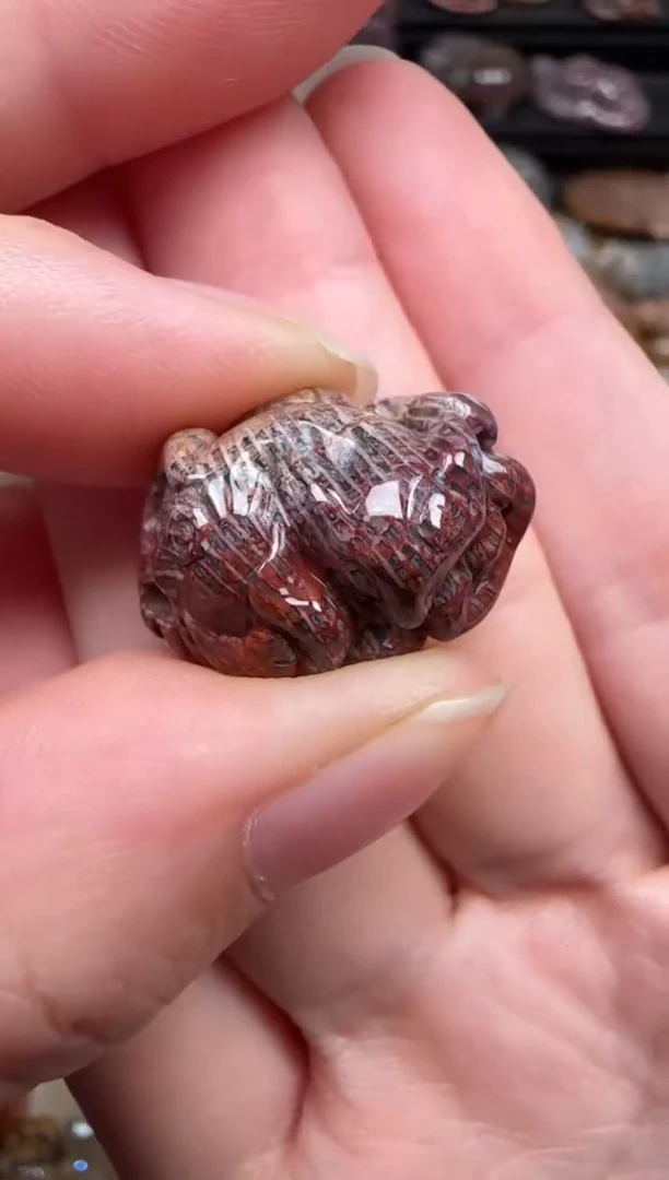 颈饰未镶嵌硅化珊瑚（珊瑚玉）123