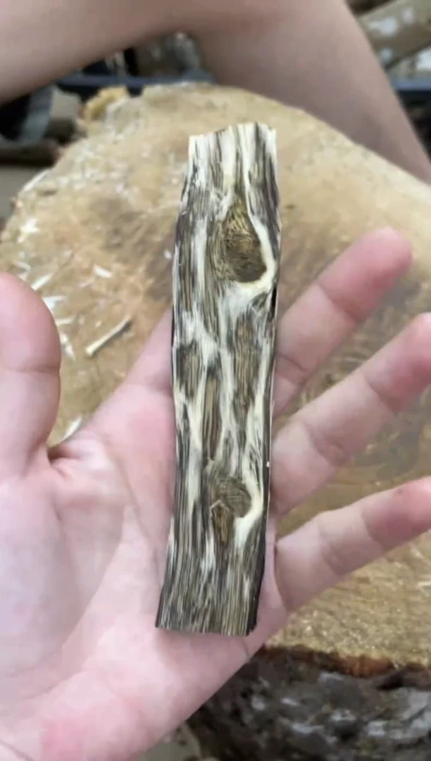 沉香碎屑沉香棋楠沉香 原料文创1