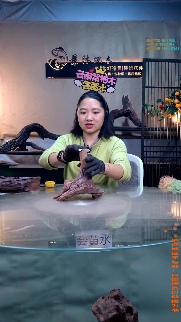 摆件景沐沉木A102 2-12-21