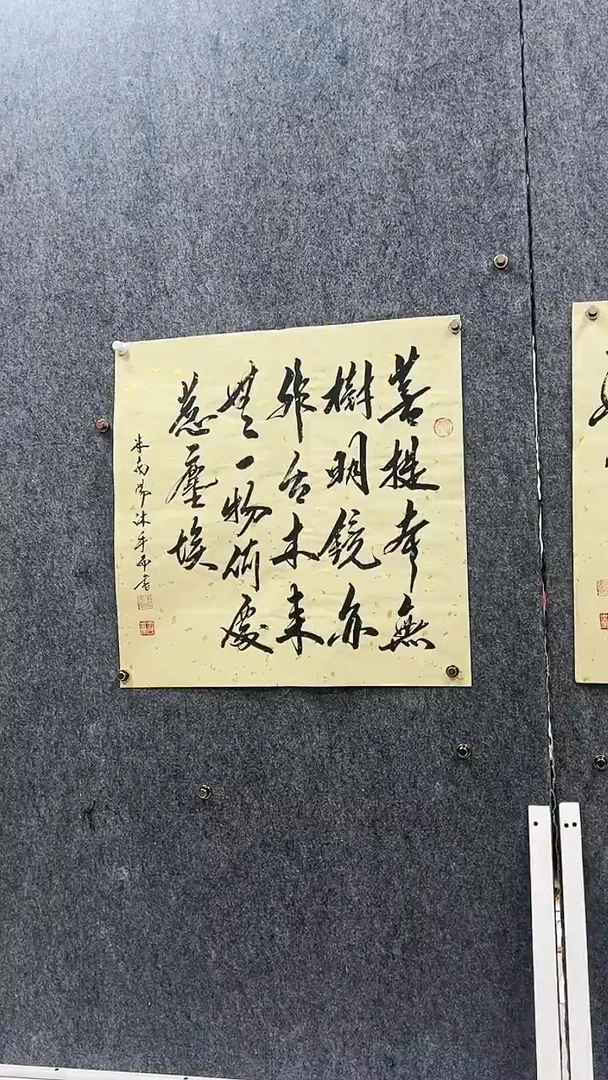 书法书法绘画直播链接