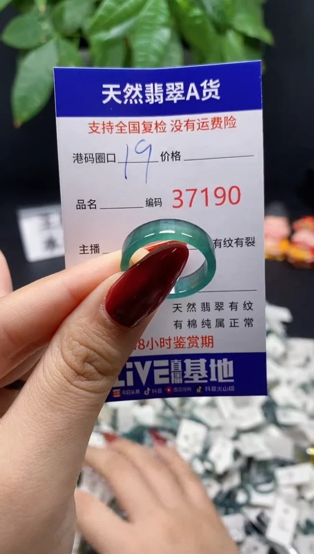 翡翠戒指未镶嵌 天然翡翠戒圈7190