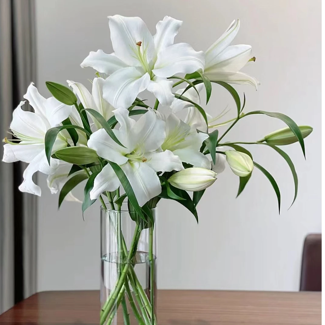 单瓣多头香水百合鲜花切花水养家居瓶插