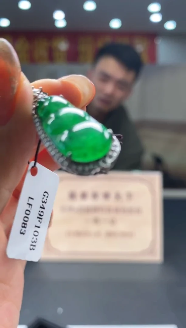 【闪购商品】翡翠颈饰未镶嵌********544