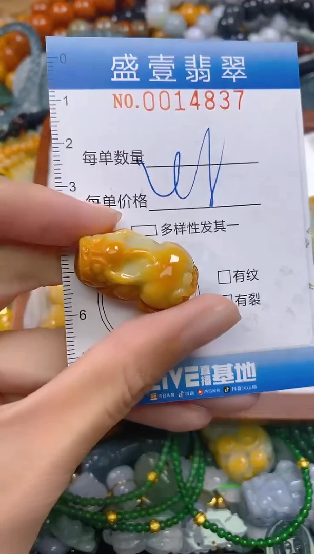 颈饰未镶嵌翡翠闪购0014837