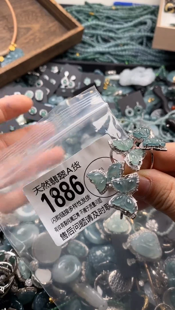 【闪购商品】翡翠颈饰未镶嵌多样性发其一1886