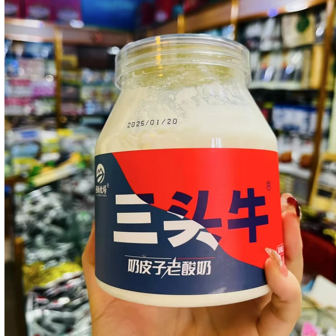 顺丰发货内蒙古三头牛奶皮子酸奶经典正品日期新鲜口感醇厚正宗