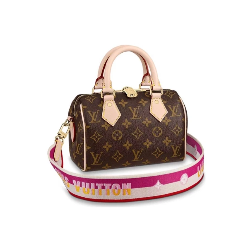 99新 LouisVuitton/路易威登 speedy20老花刺绣枕头斜挎包/未使用