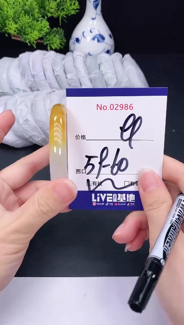 未镶嵌手镯翡翠2986