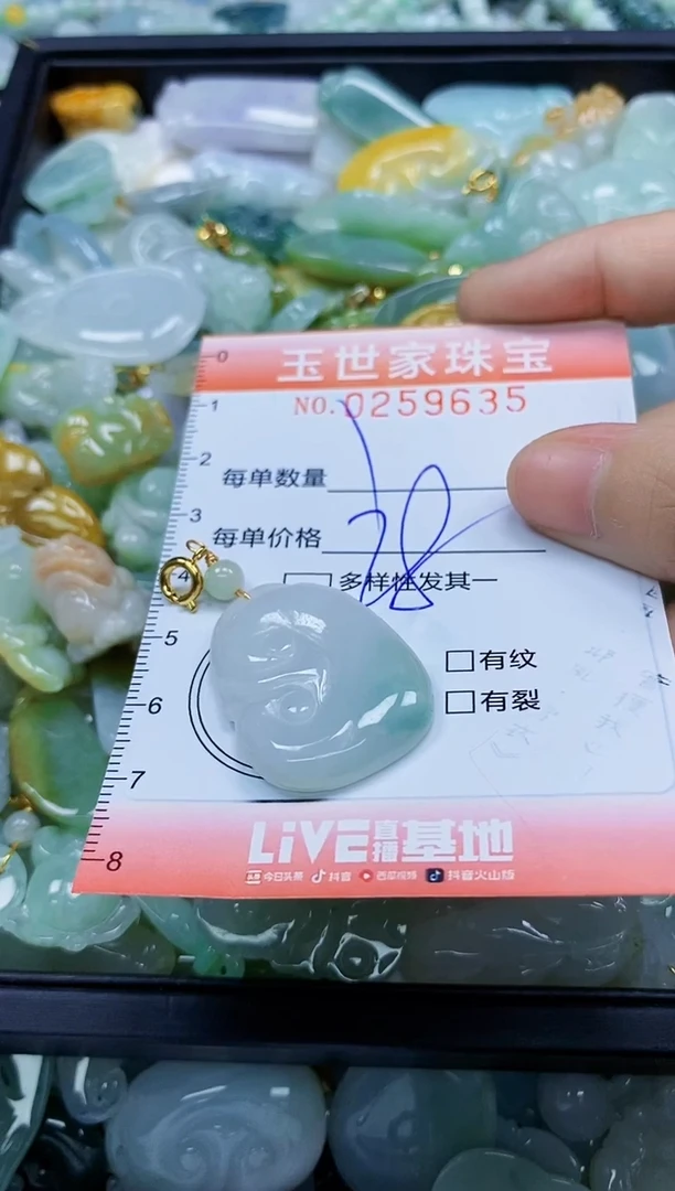 翡翠未镶嵌颈饰闪购0259635