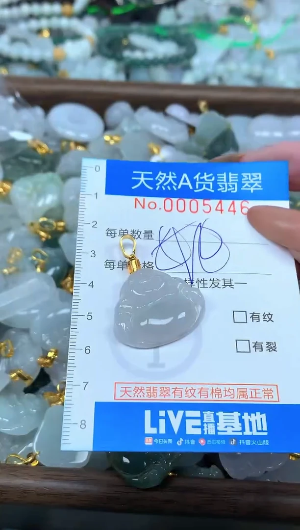 颈饰未镶嵌翡翠净货挂件-5446