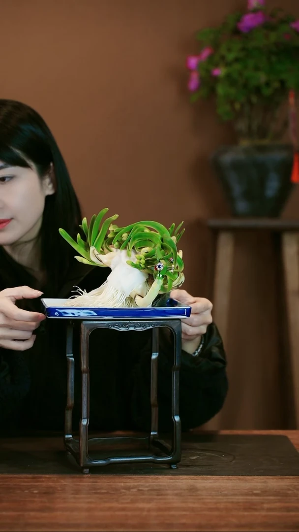 【闪购商品】盆景雕刻水仙