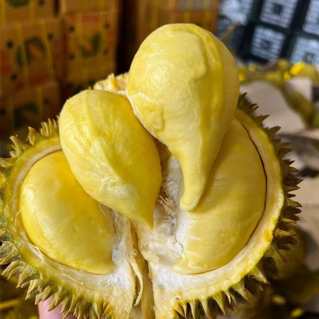 【盼盼专属】甄选泰国金枕鲜榴莲A果3~9斤核小软糯香甜一物一拍顺丰次日达金枕泰国东部榴莲同城送金枕泰国东部