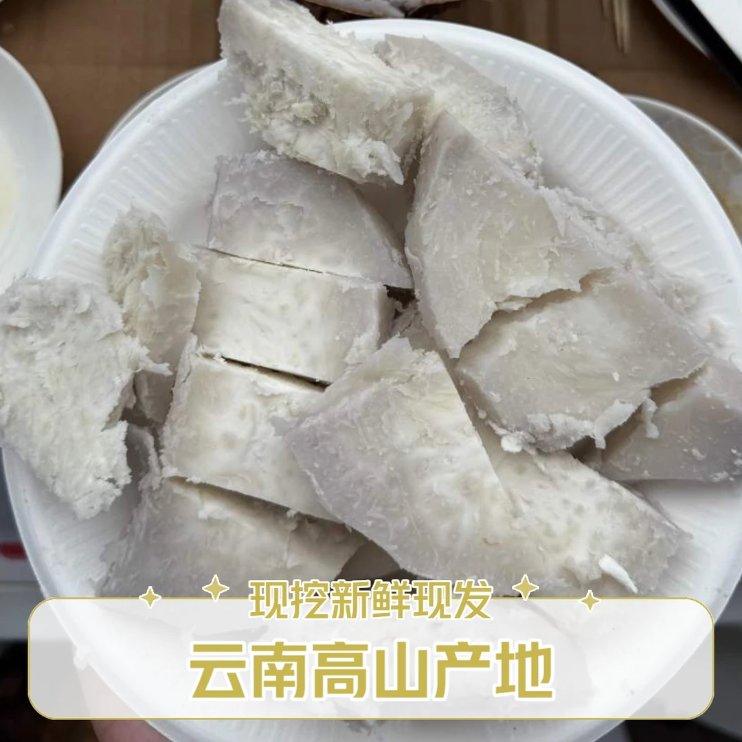 云南红河高山白香芋头新鲜现挖香糯好吃可作火锅食材包邮到家