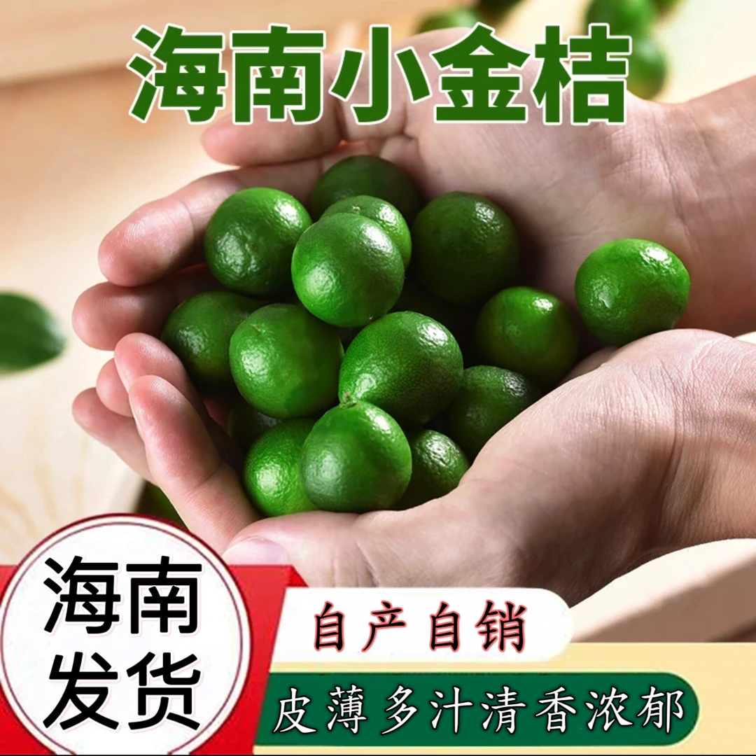 正宗海南青金桔奶茶店精选新鲜小金桔青柠现摘现发酸桔子青柠包邮