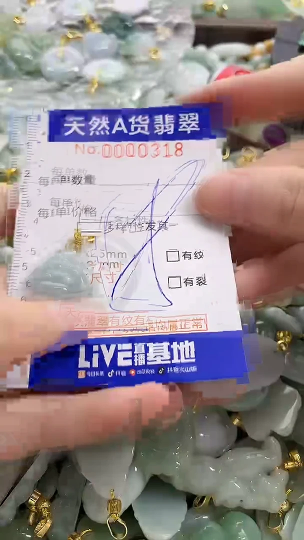 颈饰未镶嵌翡翠纯天然a货翡翠