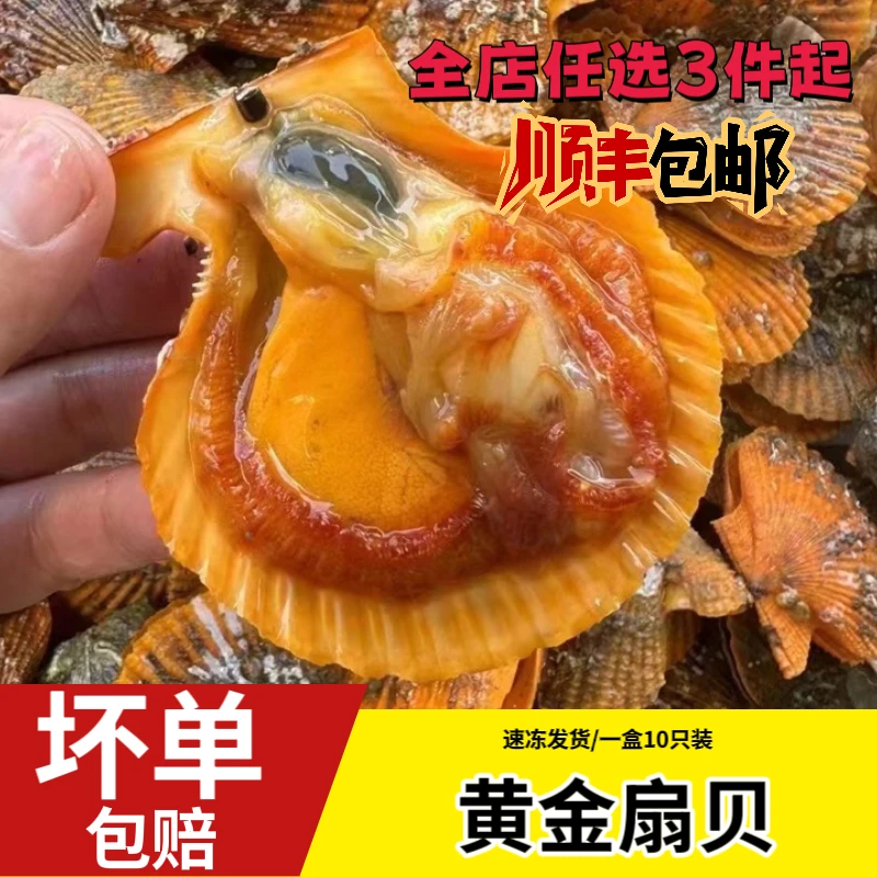 顺丰冷链急运鲜活冷冻半壳扇贝新鲜带壳蒜蓉烧烤海鲜食材广东
