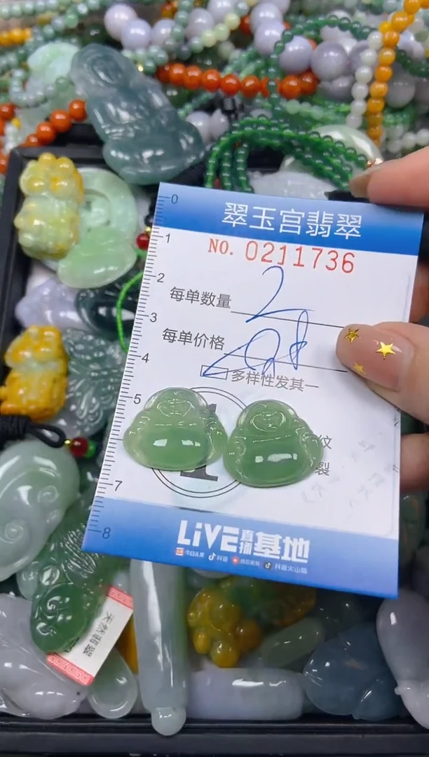 颈饰未镶嵌翡翠闪购C0211736多样性发其一
